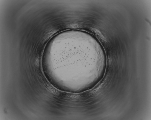 X0000091241209200709061532