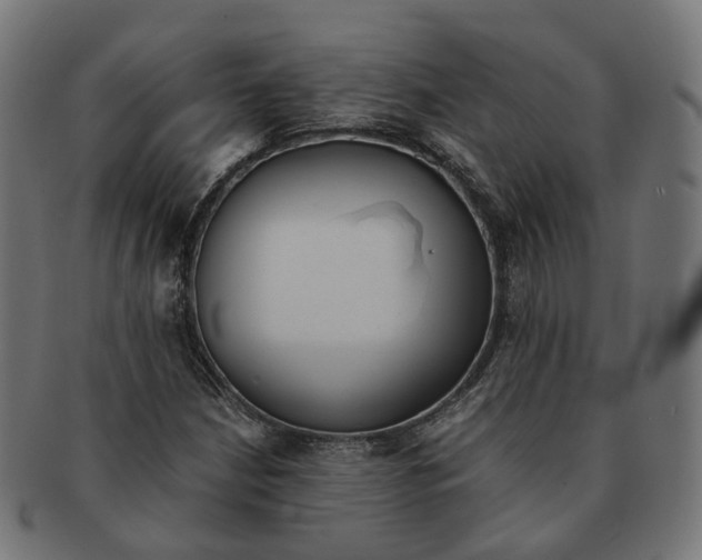X0000091241210200709061532