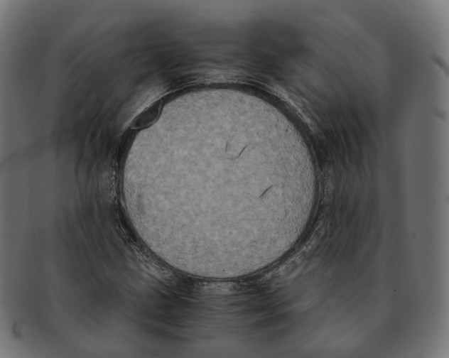 X0000091241211200709061532