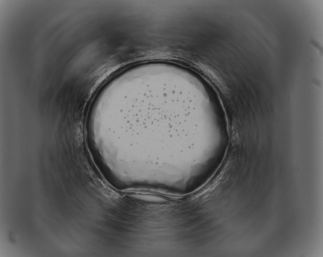 X0000091241212200709061532