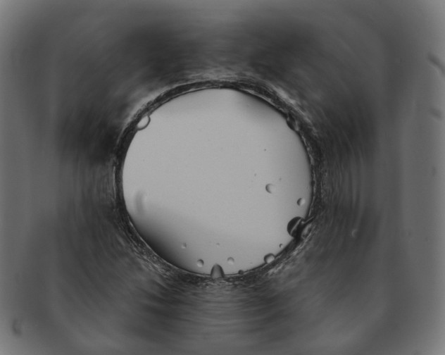 X0000091241214200709061533