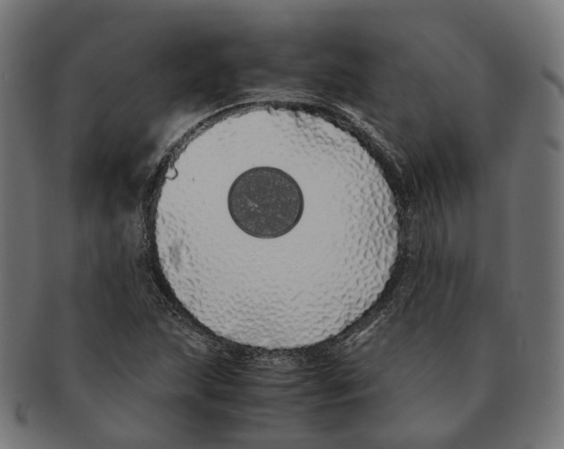 X0000091241215200709061533
