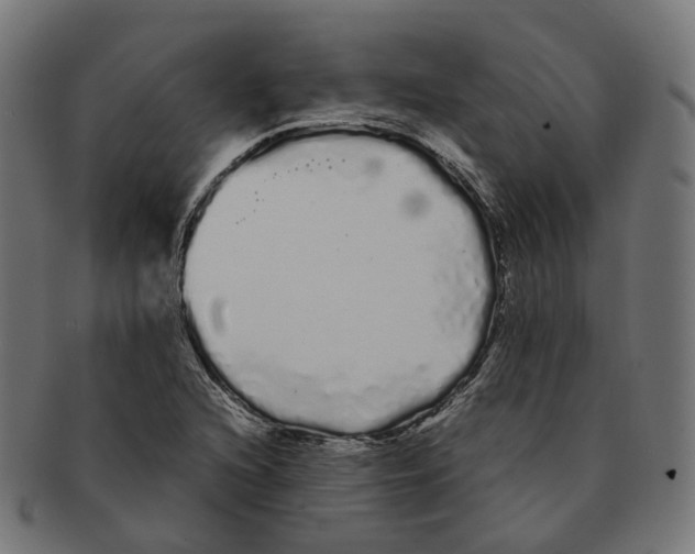 X0000091241216200709061533