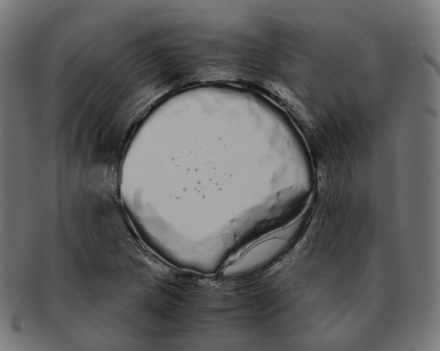 X0000091241217200709061533