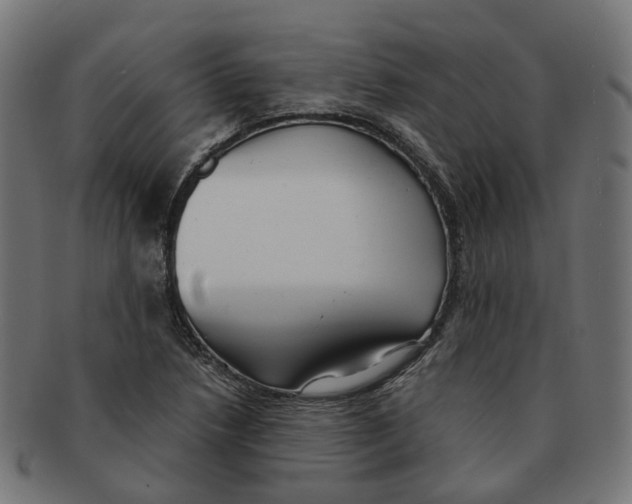 X0000091241218200709061533