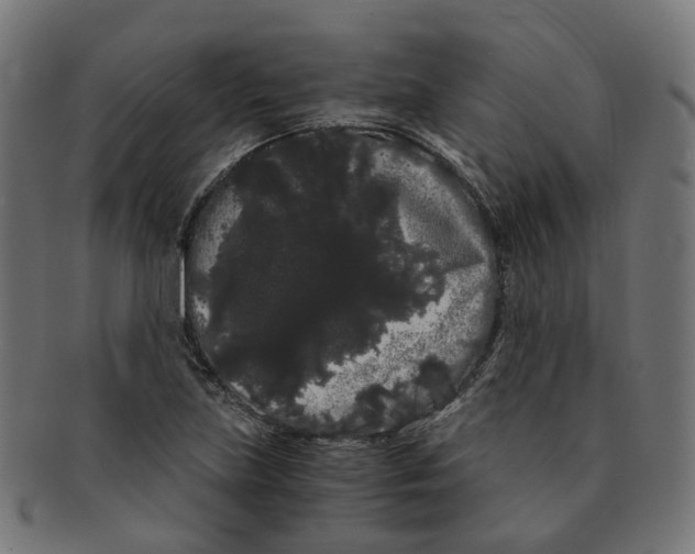 X0000091241219200709061533