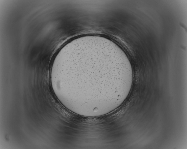 X0000091241220200709061533