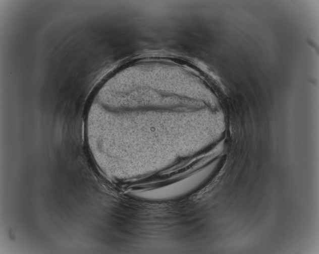 X0000091241221200709061533