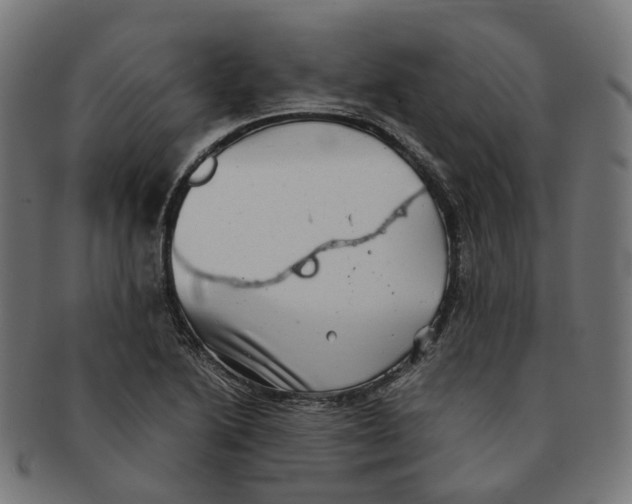X0000091241222200709061533