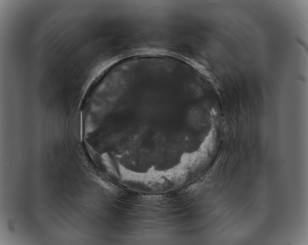 X0000091241223200709061533