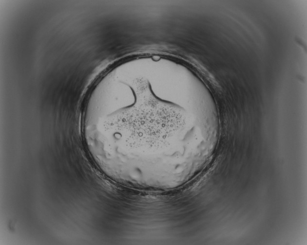 X0000091241224200709061533