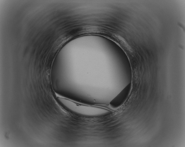 X0000091241225200709061533