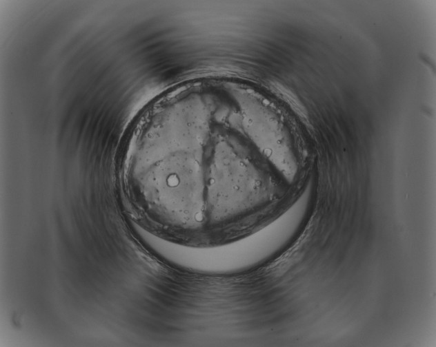 X0000091241226200709061533