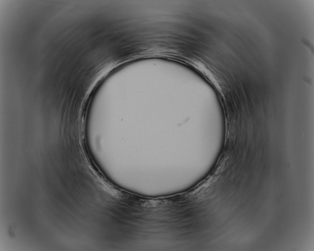 X0000091241227200709061533