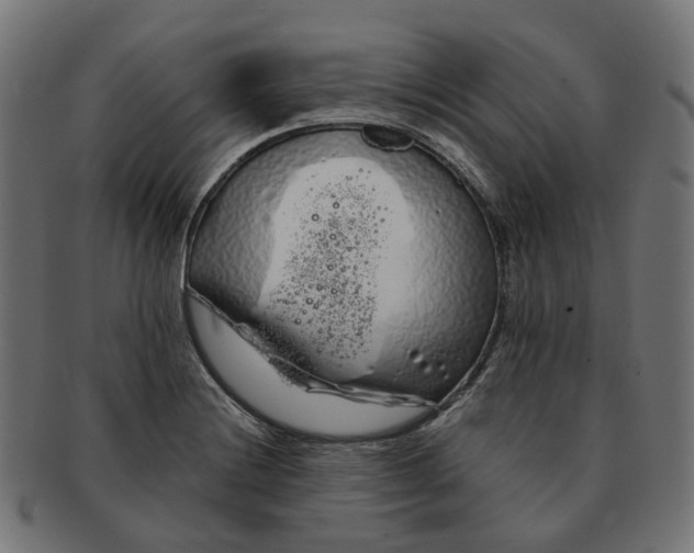 X0000091241228200709061533