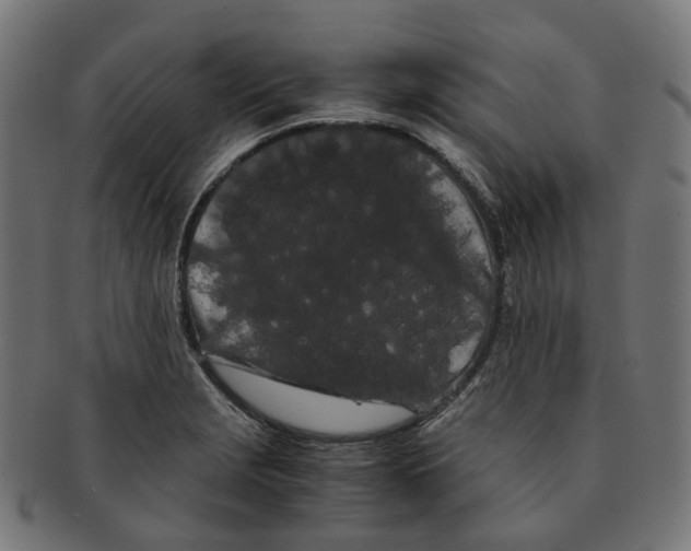 X0000091241229200709061533