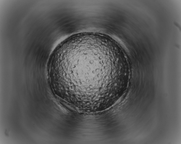 X0000091241230200709061533