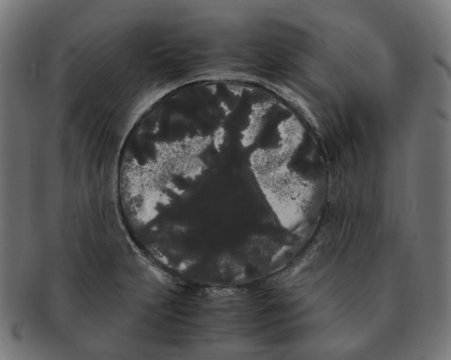X0000091241231200709061533