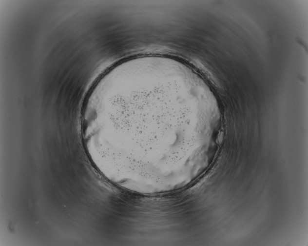 X0000091241232200709061533