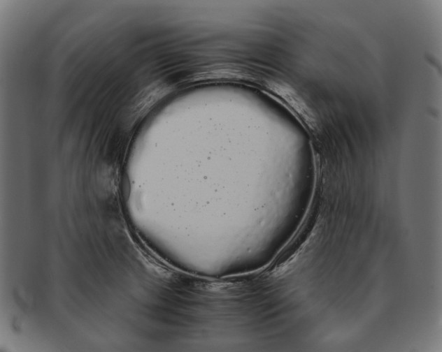 X0000091241233200709061533