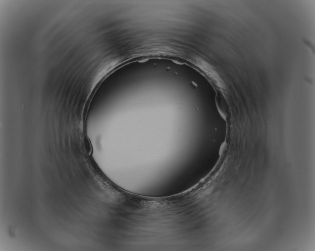 X0000091241234200709061533