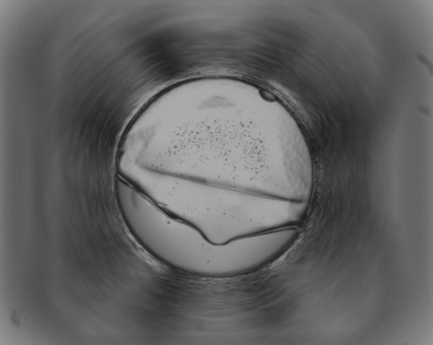 X0000091241236200709061533