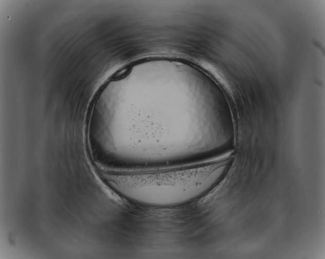 X0000091241237200709061533