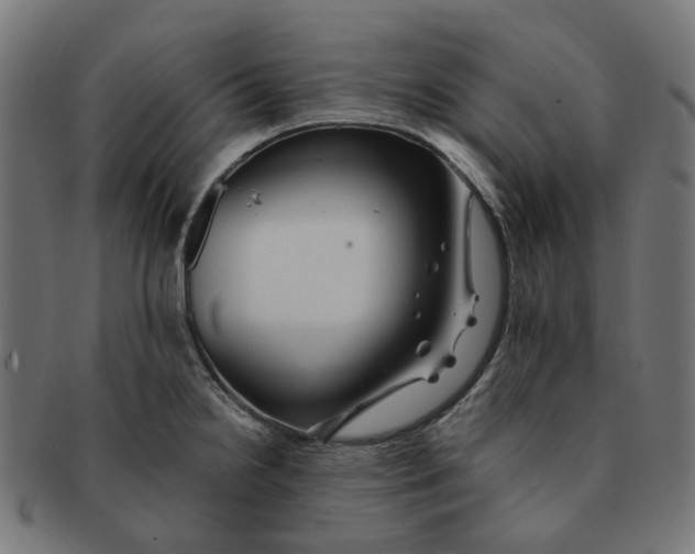 X0000091241238200709061533