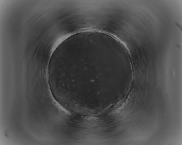 X0000091241239200709061533