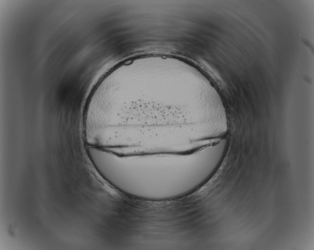 X0000091241240200709061533