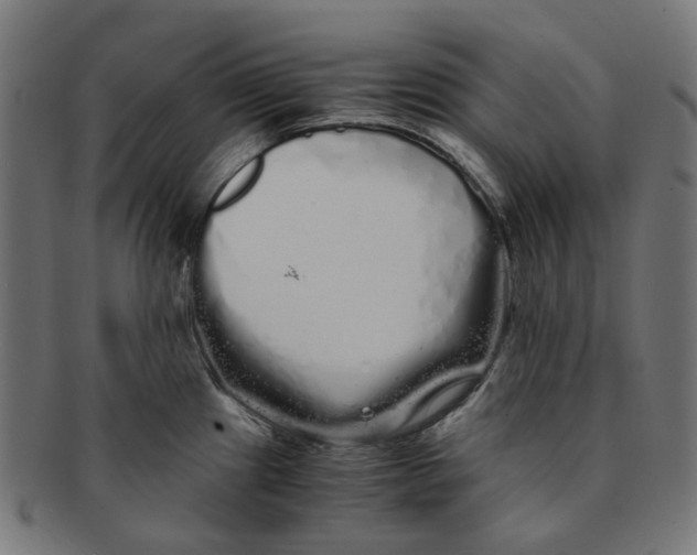 X0000091241241200709061533