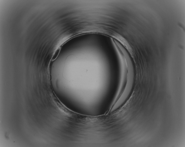 X0000091241242200709061533