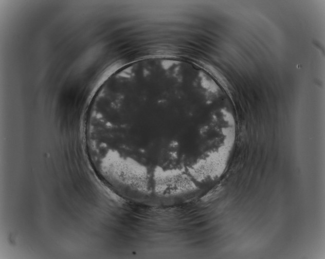 X0000091241243200709061533
