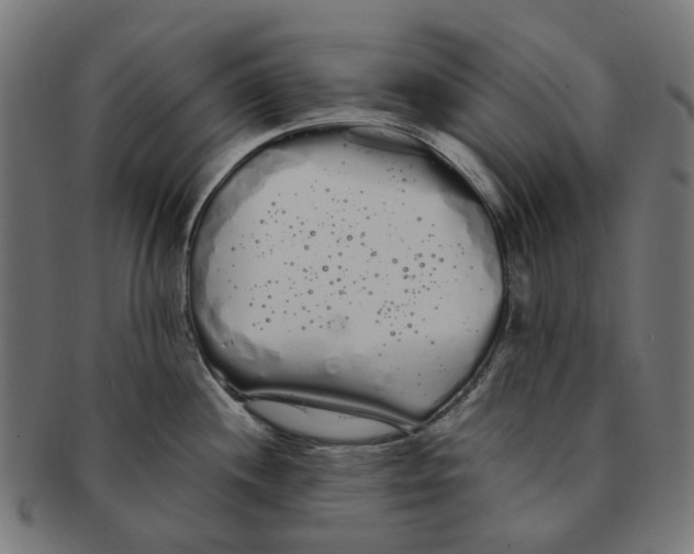 X0000091241244200709061533