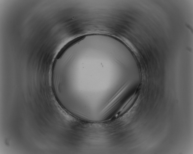 X0000091241246200709061533