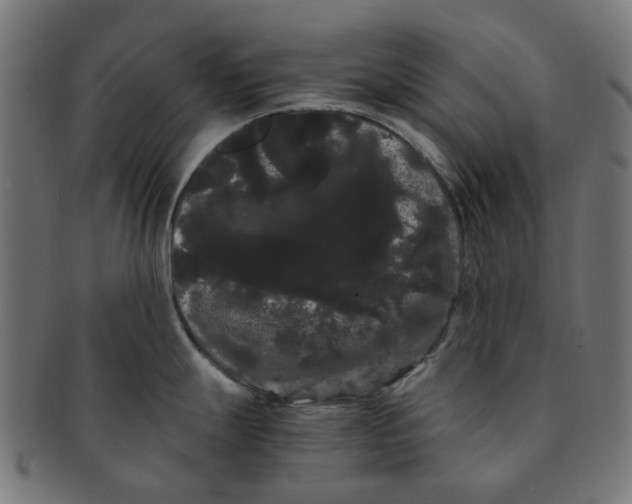X0000091241247200709061533