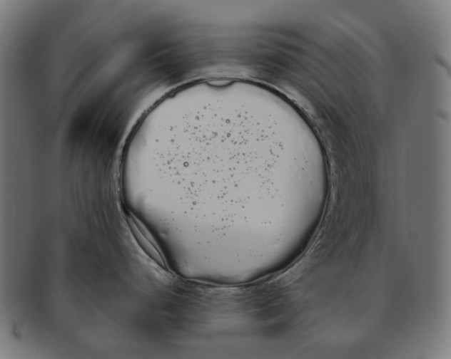 X0000091241248200709061533