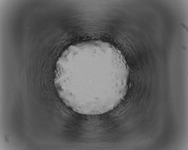 X0000091241249200709061532
