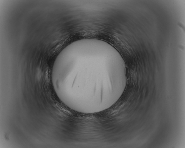 X0000091241250200709061532