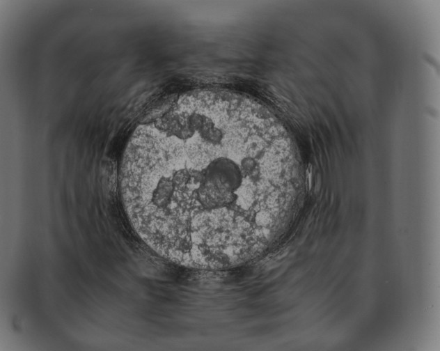 X0000091241251200709061532