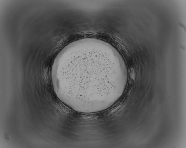 X0000091241252200709061532