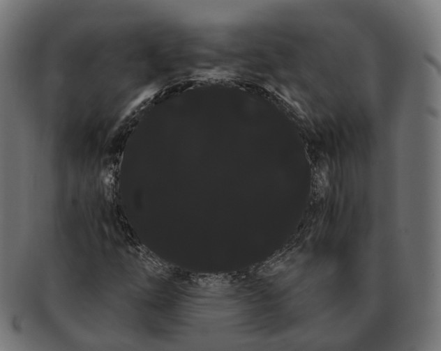 X0000091241254200709061532