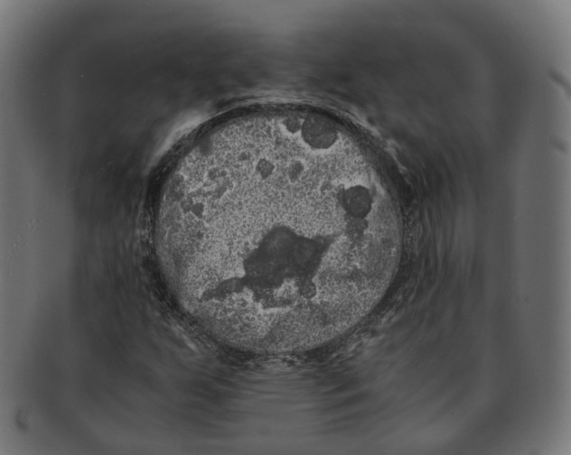 X0000091241255200709061532