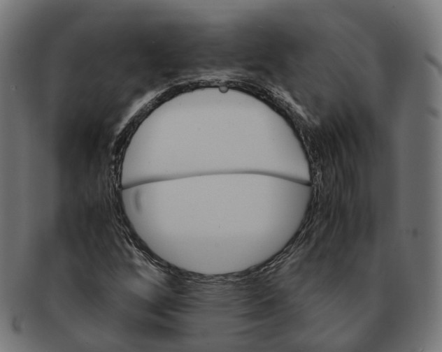 X0000091241256200709061532