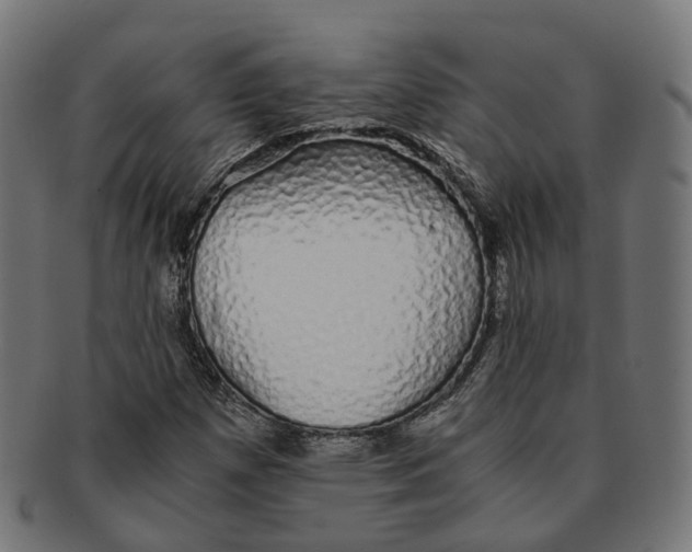 X0000091241257200709061532