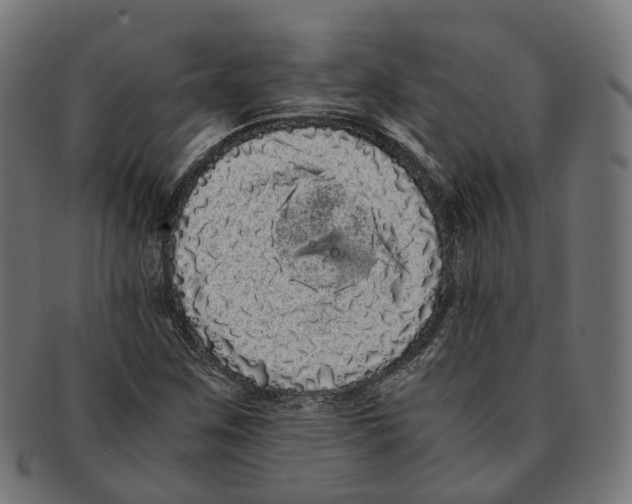 X0000091241259200709061532