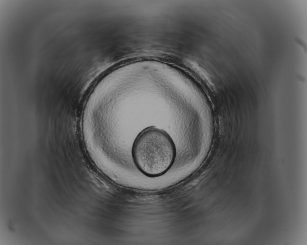 X0000091241260200709061532