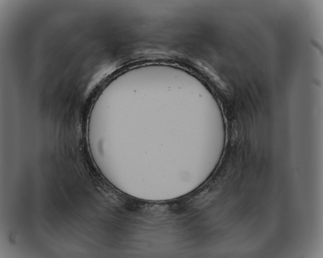 X0000091241261200709061532