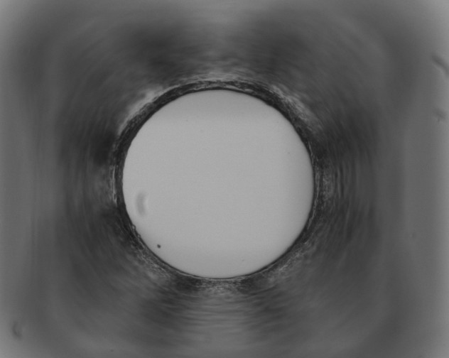 X0000091241262200709061532