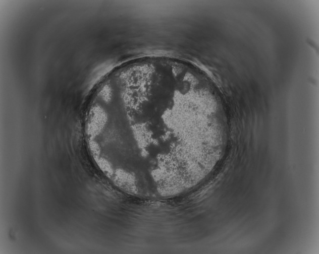 X0000091241263200709061532